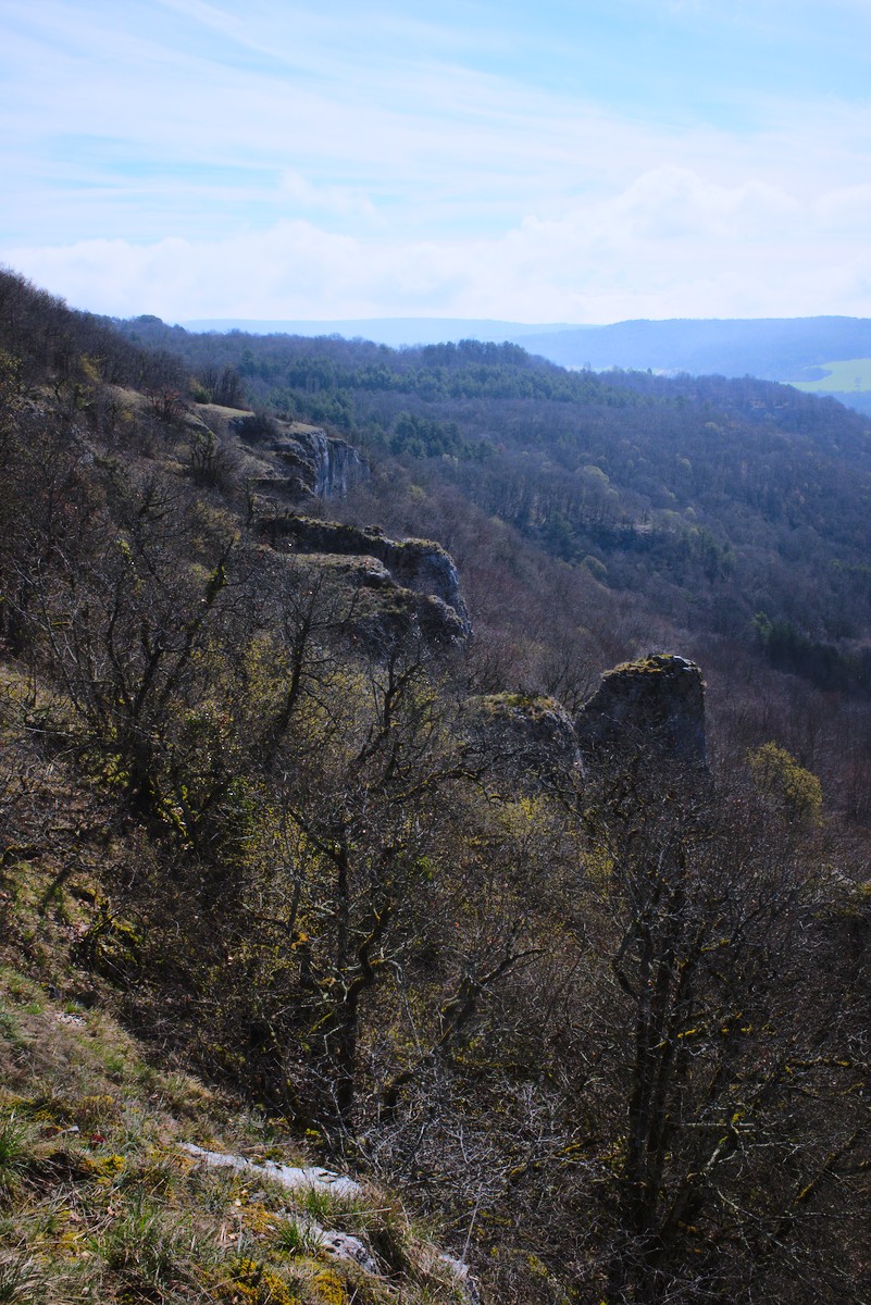 Vue de Arcenant