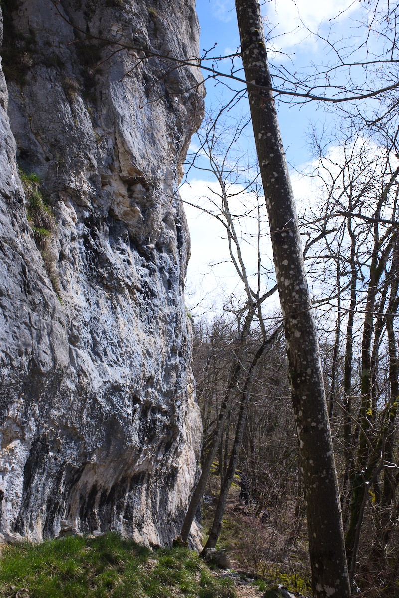 Vue de Arcenant