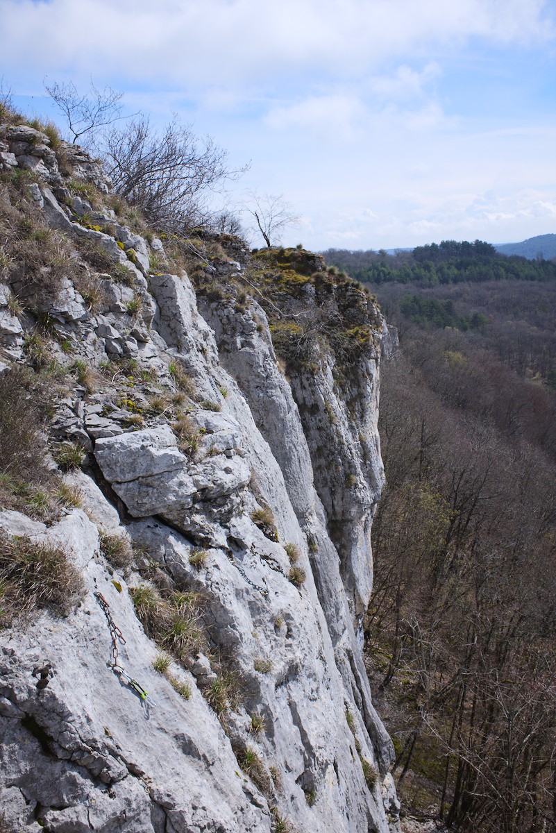 Vue de Arcenant