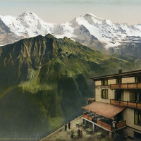 Eiger, Mönch, Jungfrau vus de Schynige Platte, en 1900, par Photoglob N°0000016895