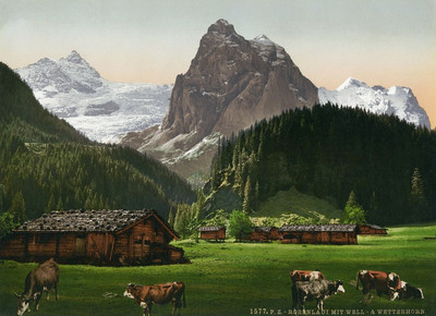 Rosenlaui et Wellhorn, en 1900, par Photoglob N°0000001577 Rosenlaui et Wellhorn, en 1900, par Photoglob N°0000001577