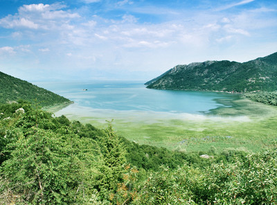 Lac de Skadar par Tania