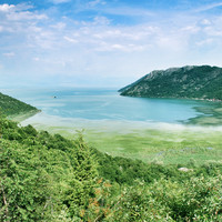 Lac de Skadar par Tania