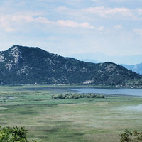 Lac de Skadar par Tania