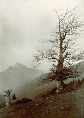 Grand Som vu du col de l'Emendra Grand Som vu du col de l'Emendra