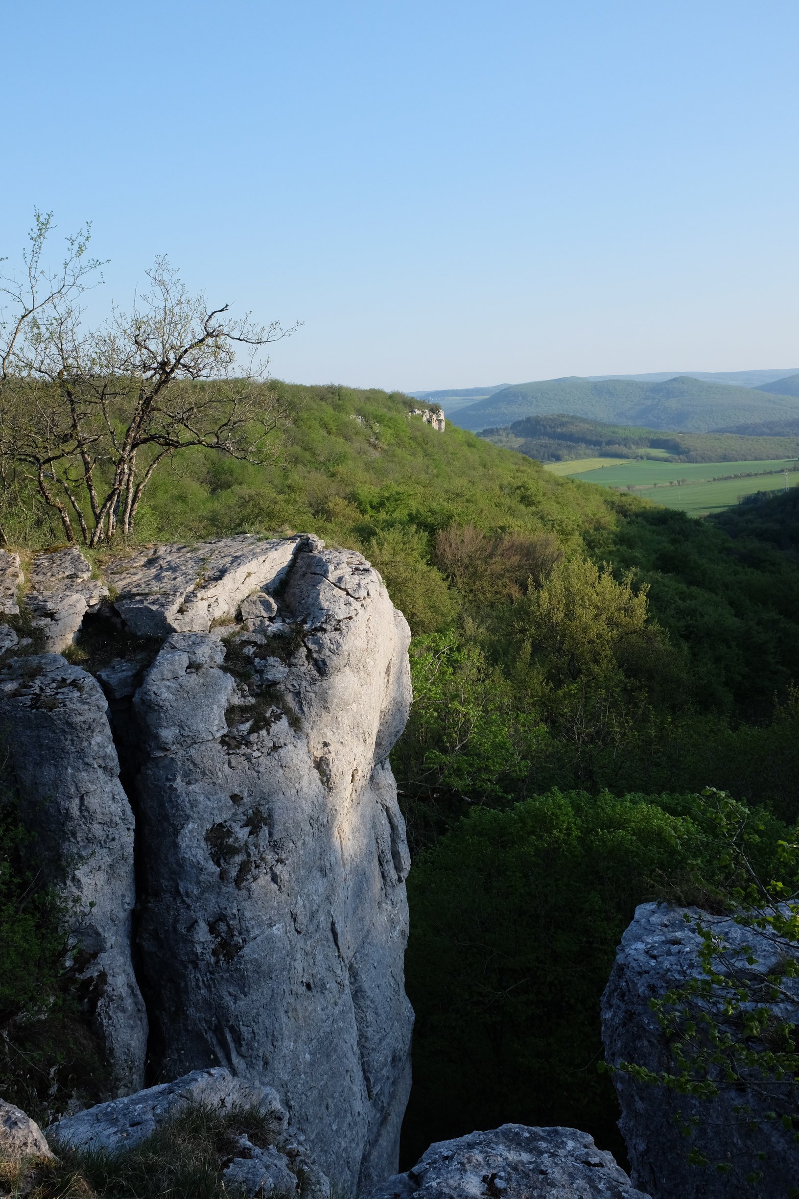 Vue de Lantenay, Combe-aux-Mammouths