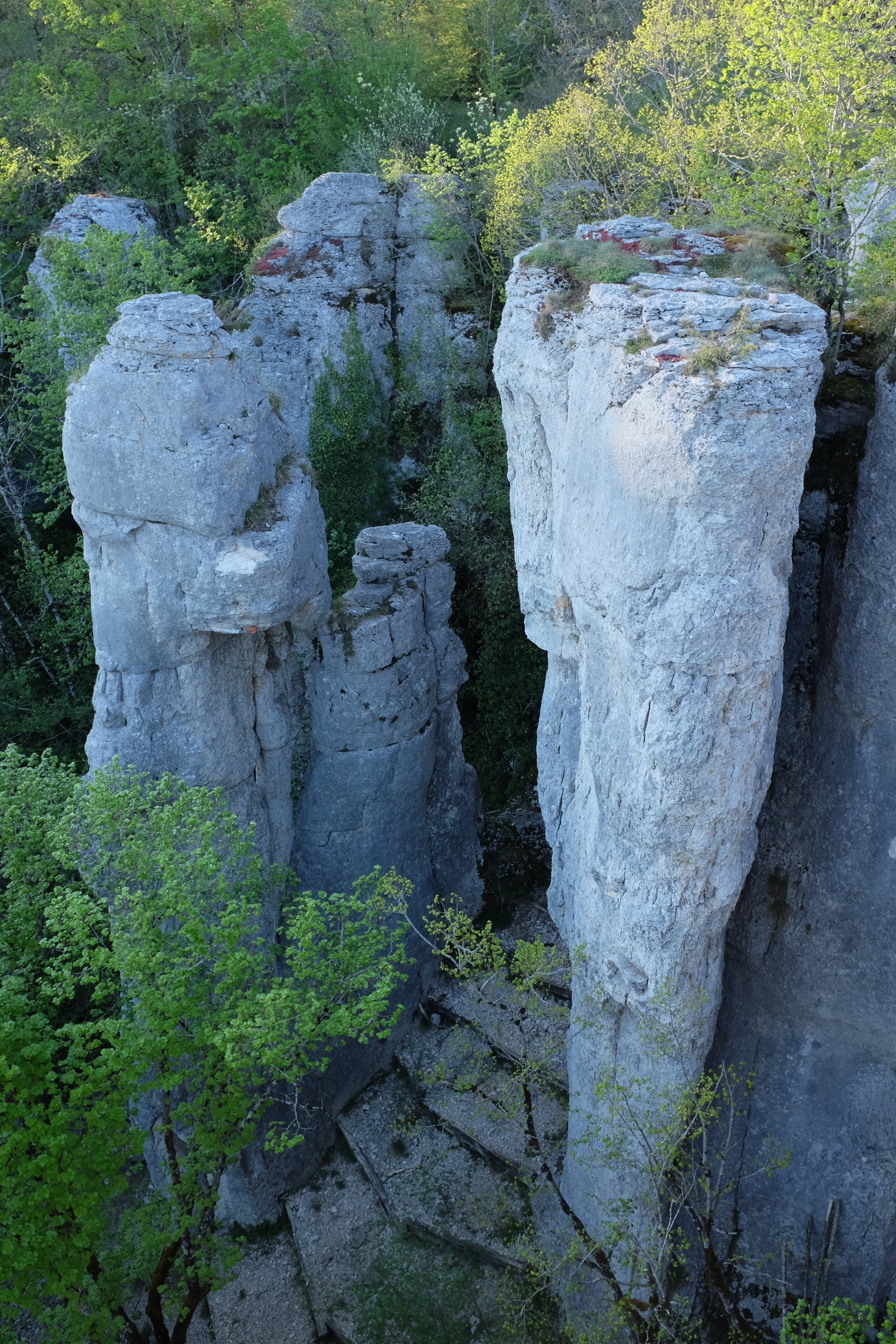 Vue de Lantenay, Combe-aux-Mammouths