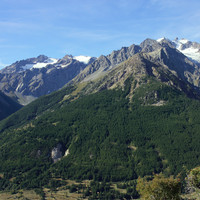 Les Agneaux versant Monêtier