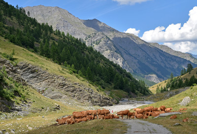 Pic de Ségure et Pic de Chabrière (à l'ombre) vus de la vallée du Guil Pic de Ségure et Pic de Chabrière (à l'ombre) vus de la vallée du Guil