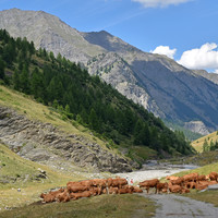 Pic de Ségure et Pic de Chabrière (à l'ombre) vus de la vallée du Guil