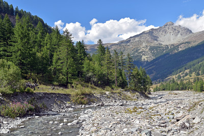 Le Pelvas vu de la haute vallée du Guil Le Pelvas vu de la haute vallée du Guil