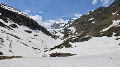Vallon d'accès à Benevolo au printemps Vallon d'accès à Benevolo au printemps