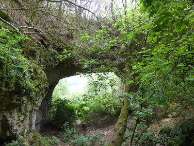 En amont de l'arche