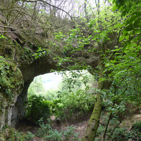 En amont de l'arche