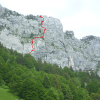 topo
