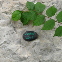 Galet peint : soleil vert
