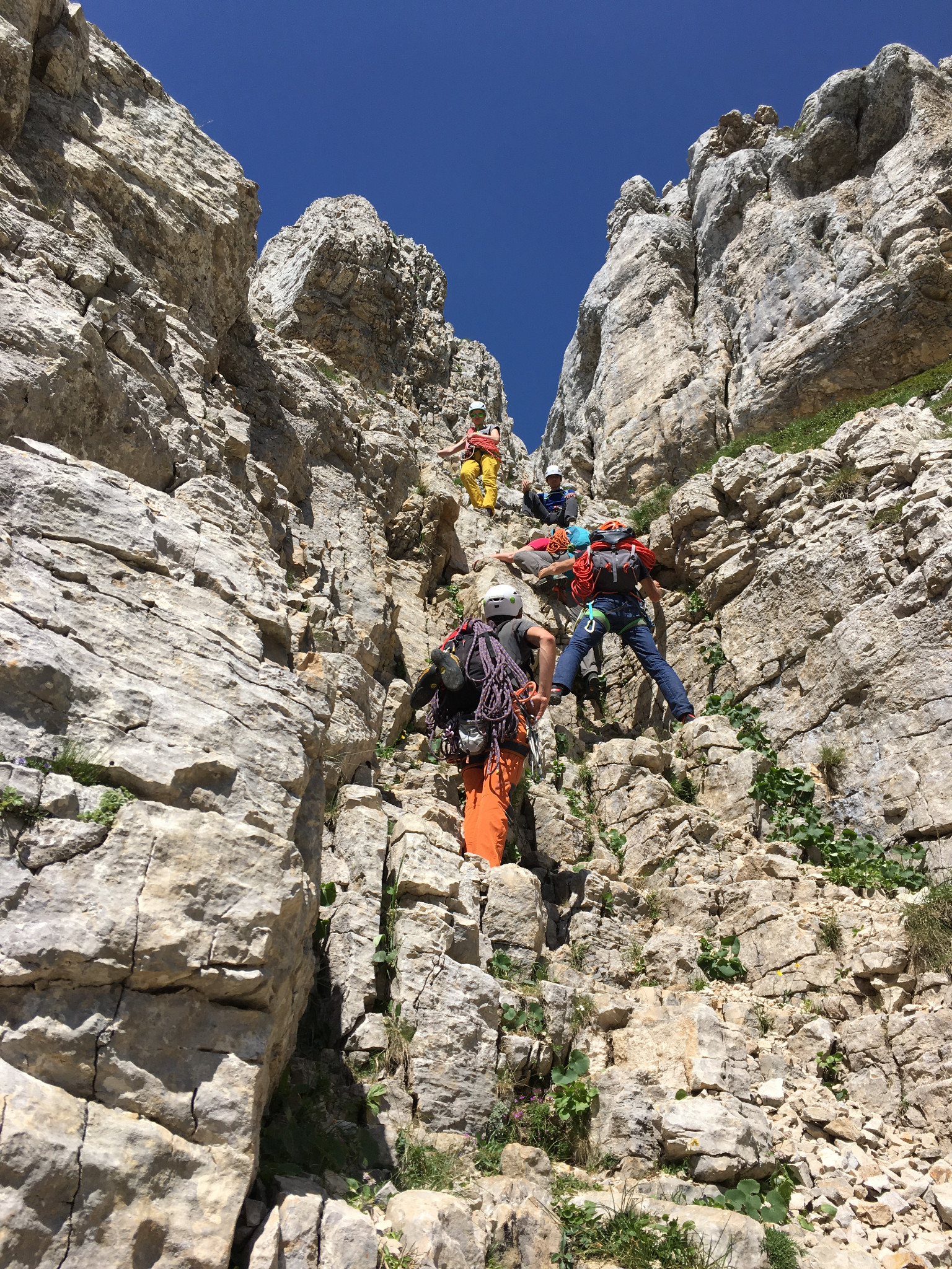 Mont Aiguille : La Tour des Gémeaux - Camptocamp.org
