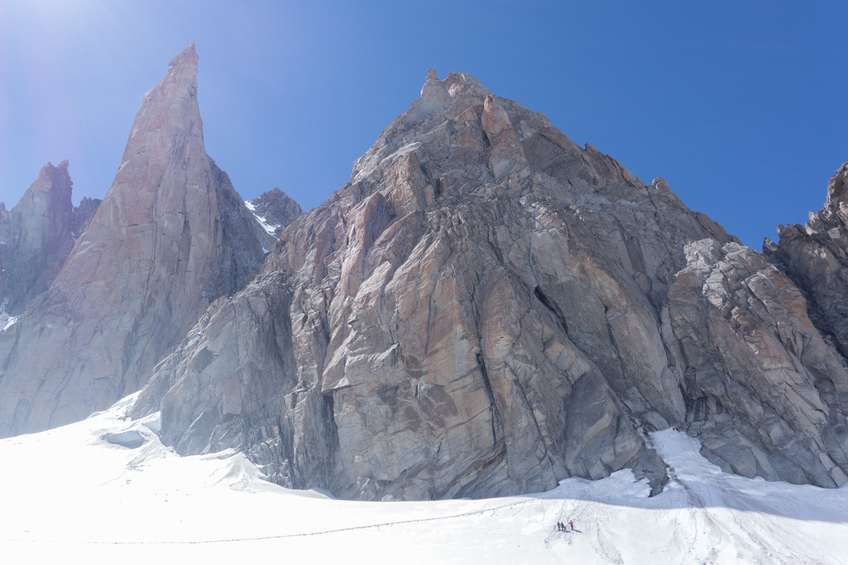 Petit capucin / roi de Siam au centre, grand capucin à gauche.