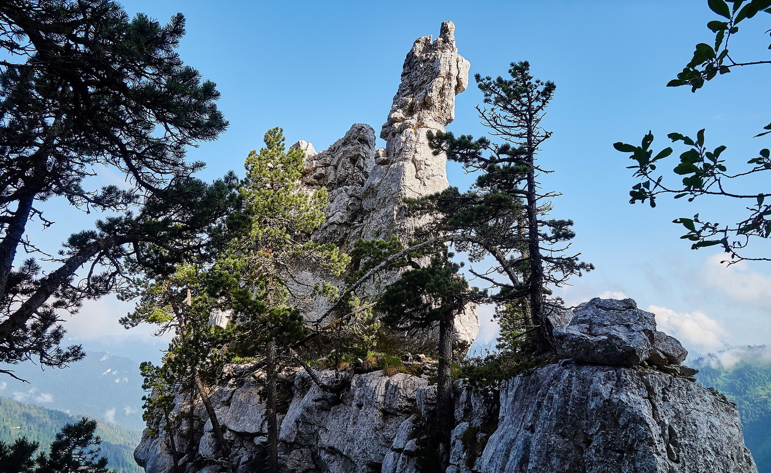 L'Aiguille en question...