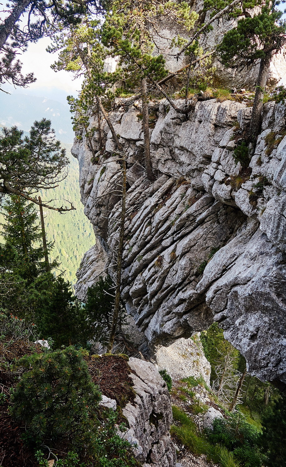 Descente dans l'arche...