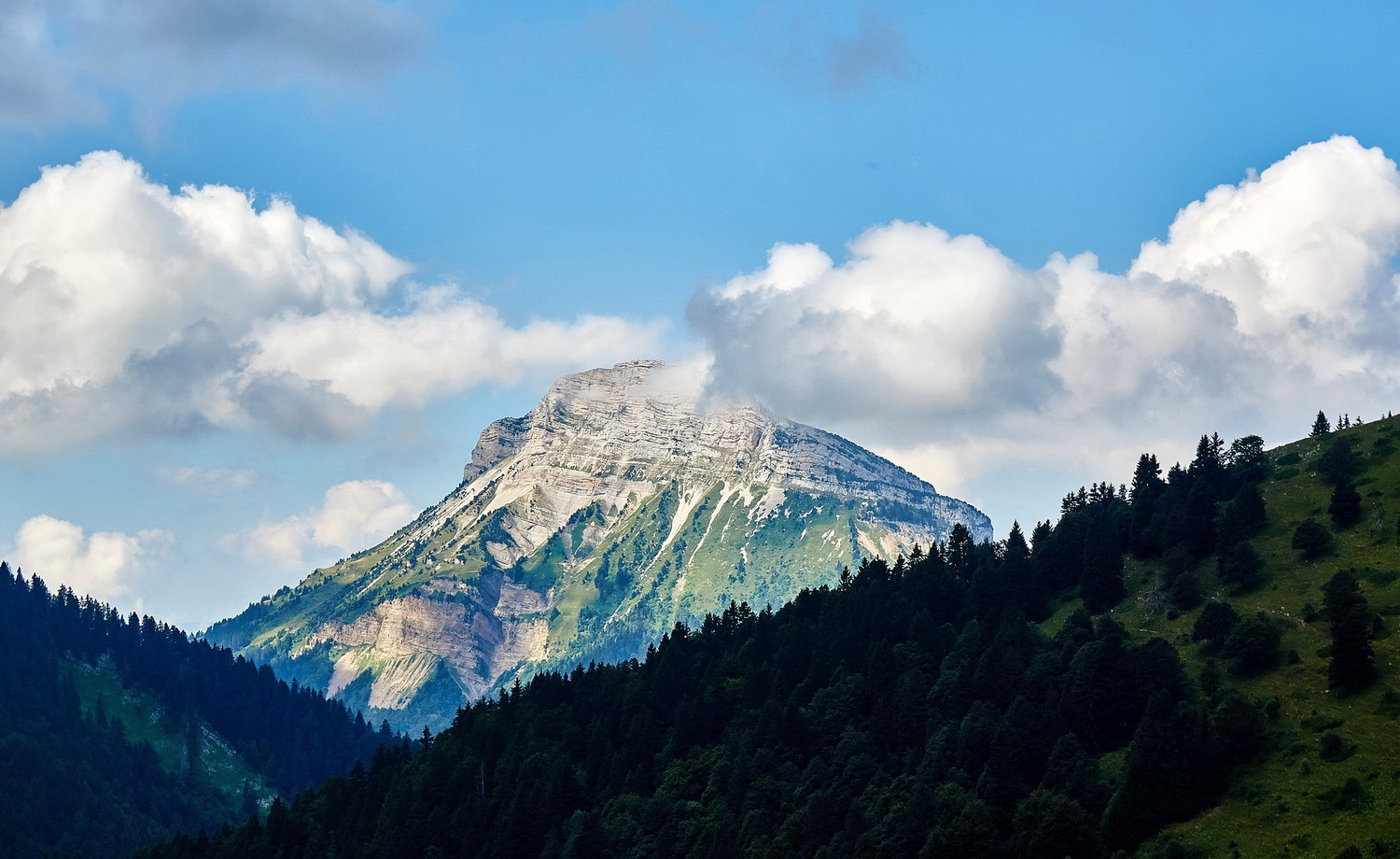 Sa majesté Chamechaude...