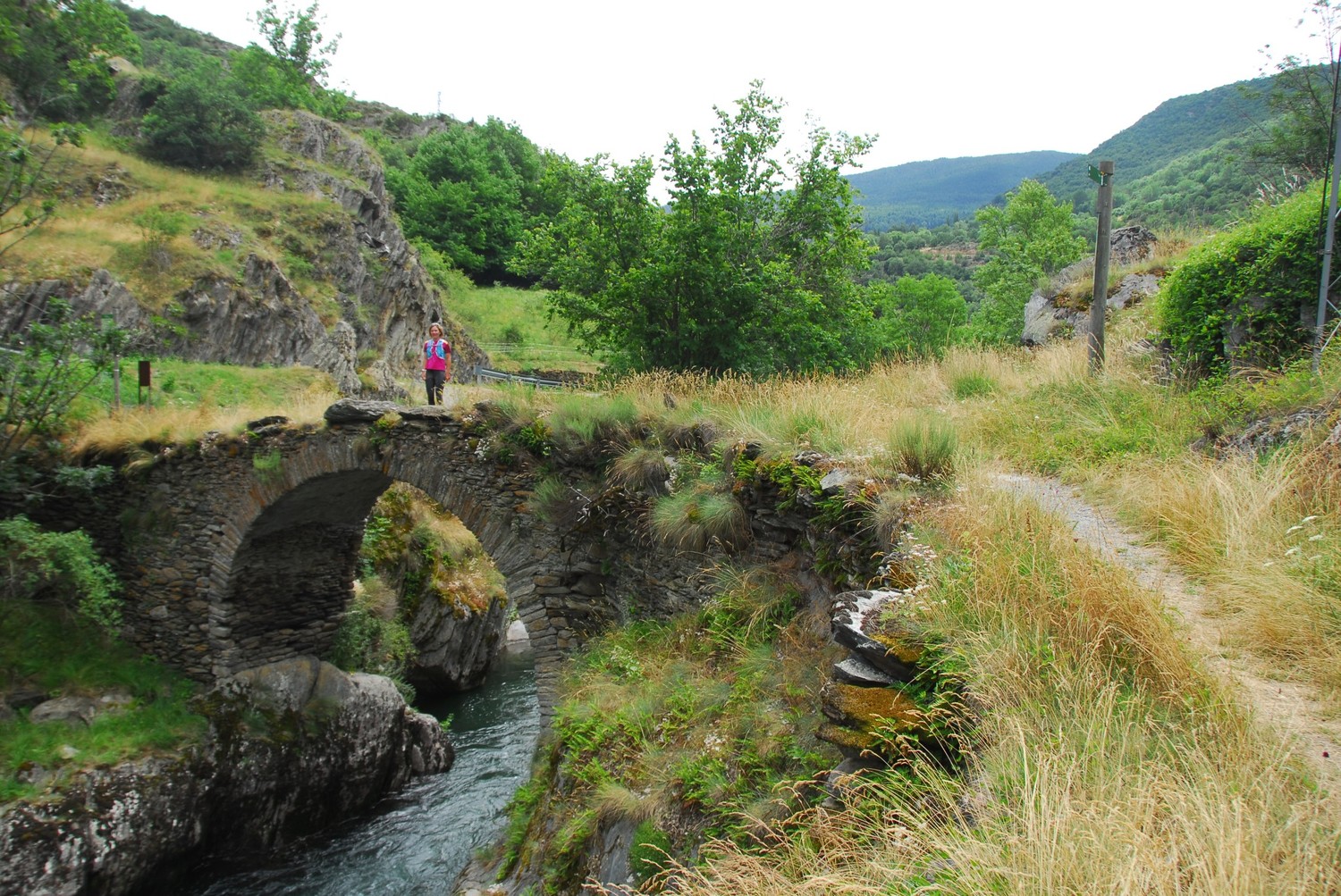 El pont sobre la Noguera Pallaresa