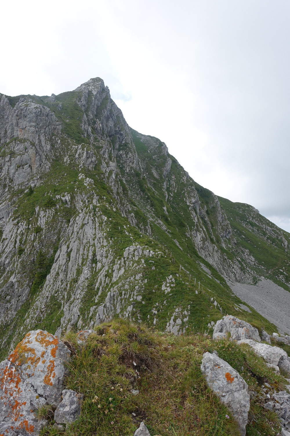 vue du sommet vers le kaiseregg