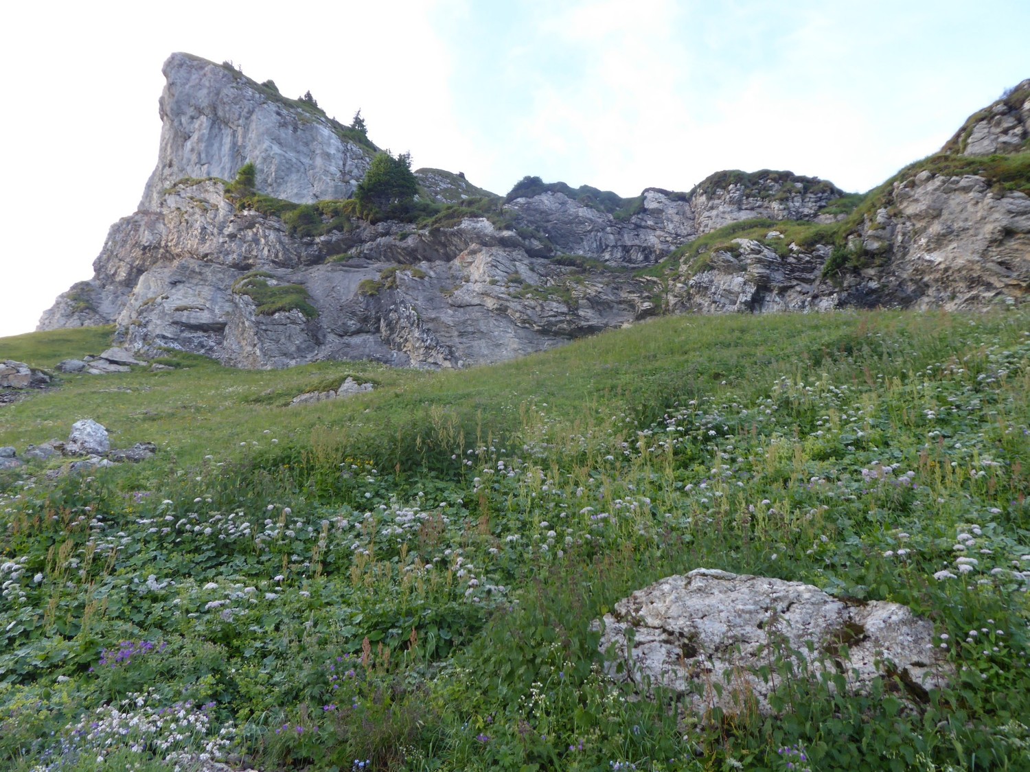 sous la Goenne - Mt Charvin
