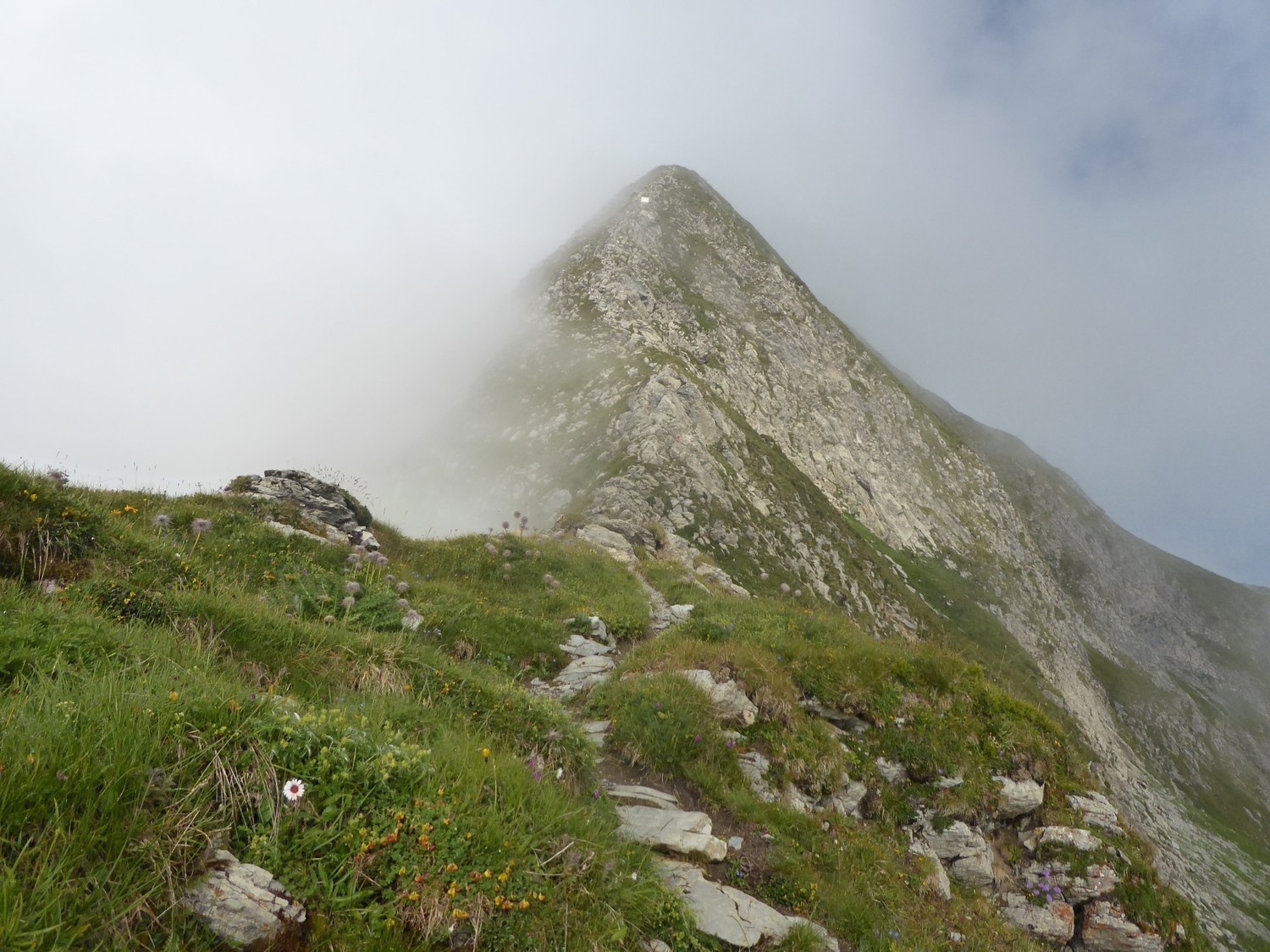le ressaut sommital - Mt Charvin