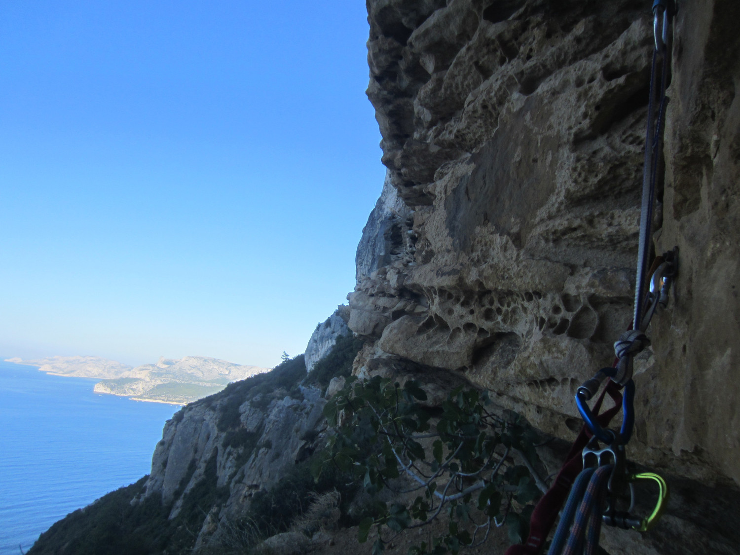 R1, lumières matinales sur les Calanques et le figuier