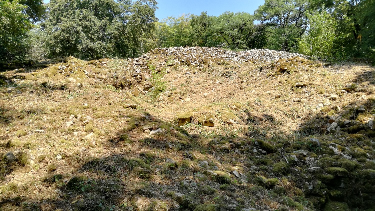 Rempart préhistorique