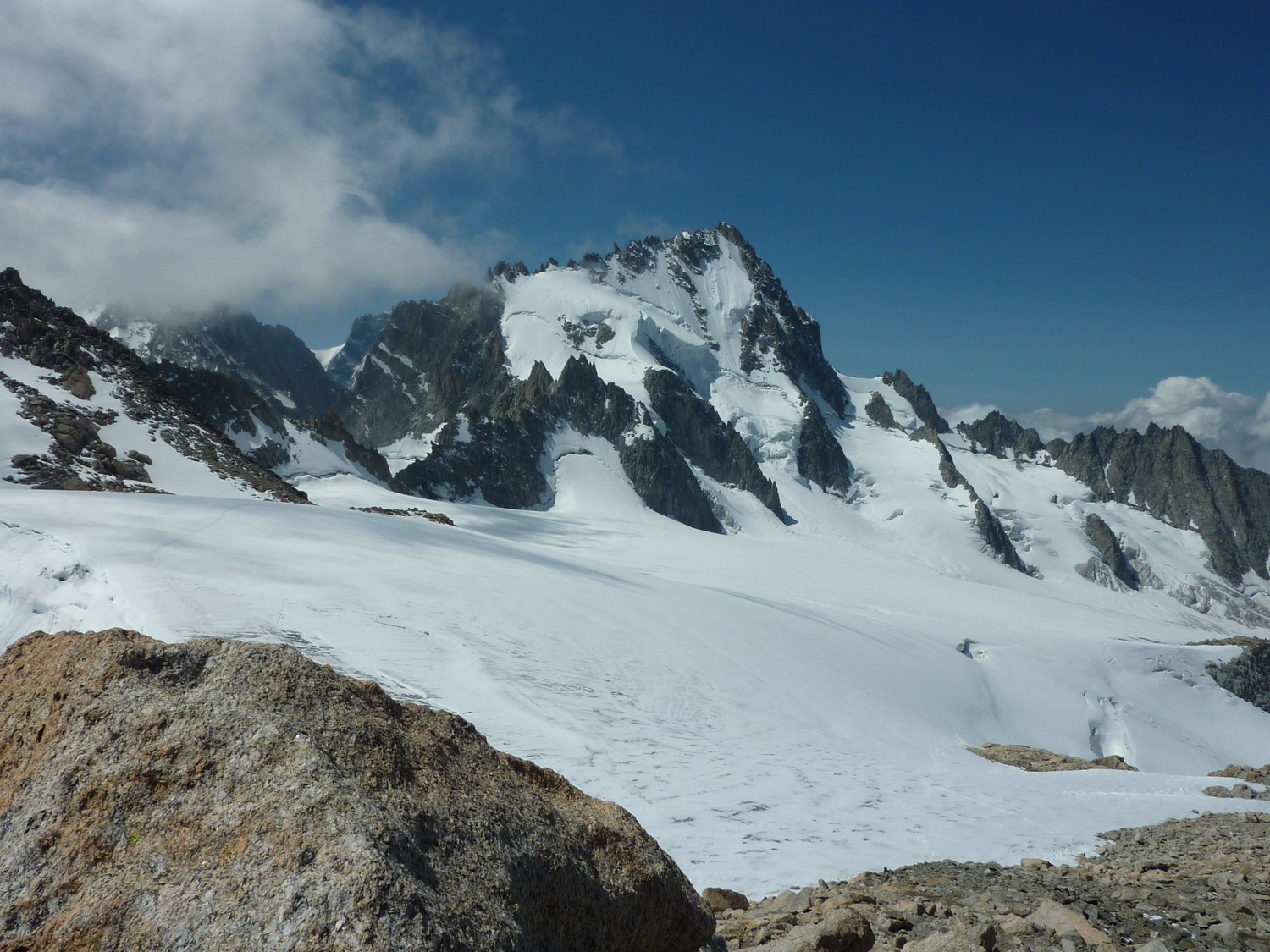 Chardonnet