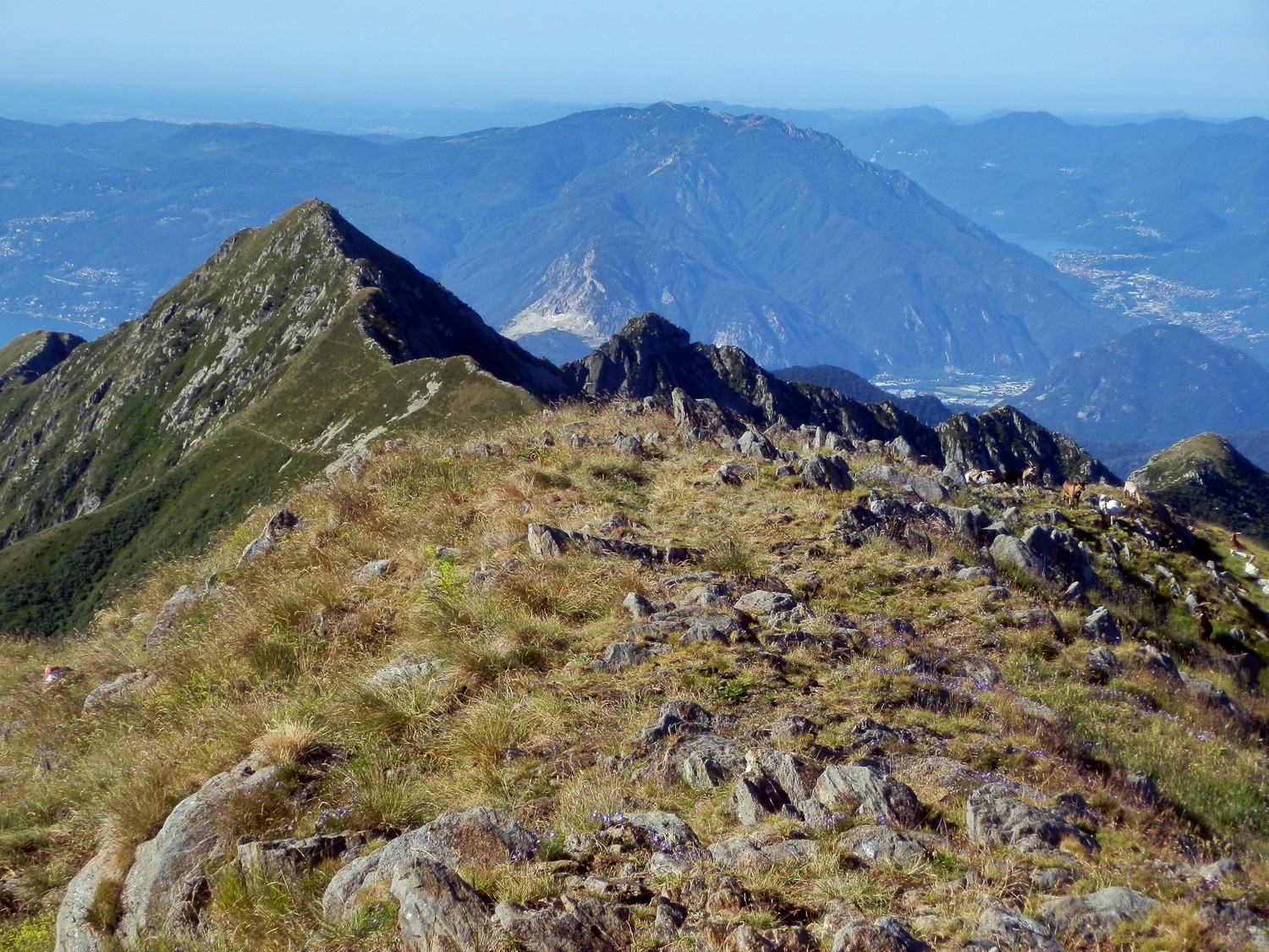 verso la Marona