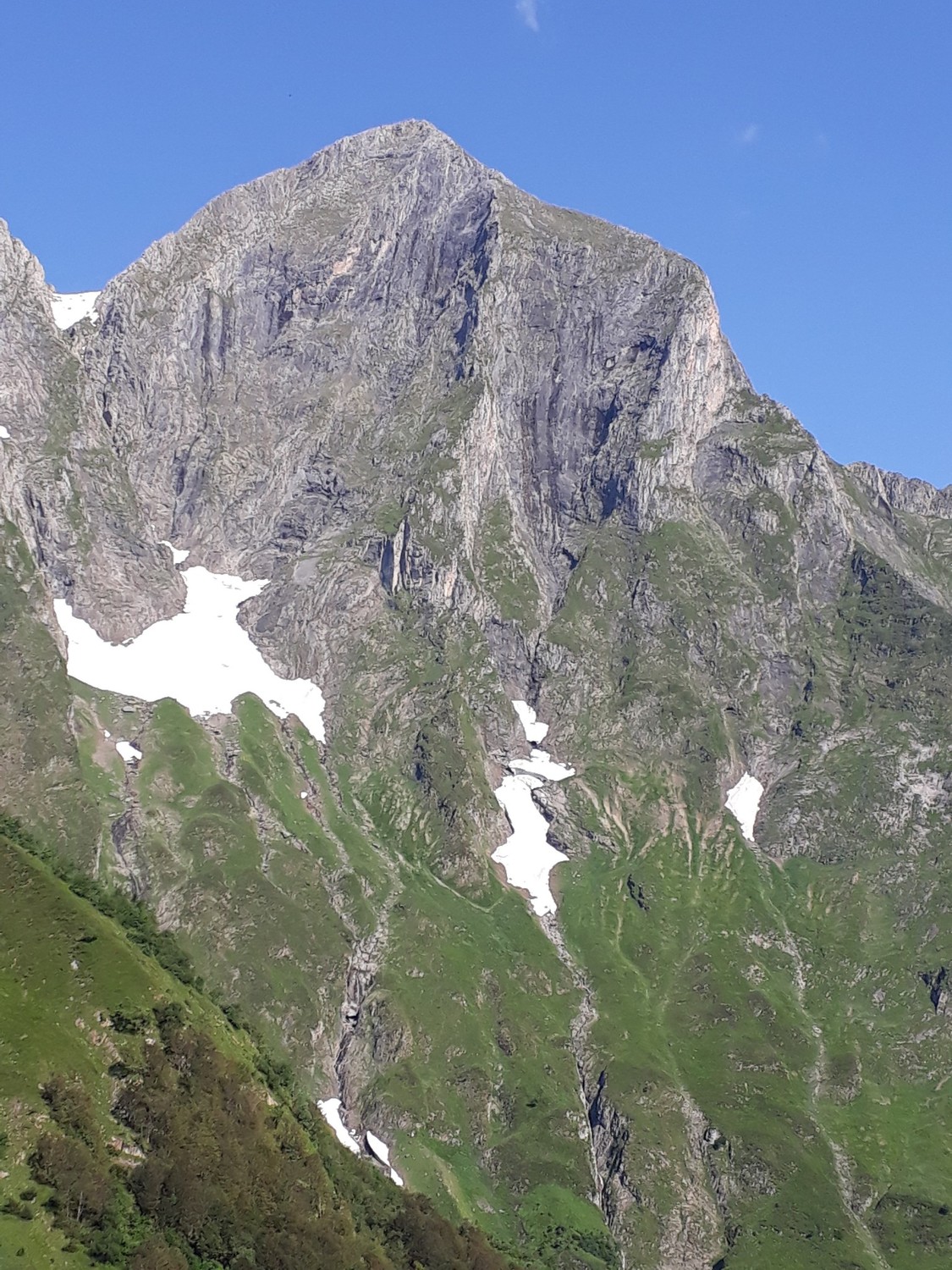 Vue d ensemble