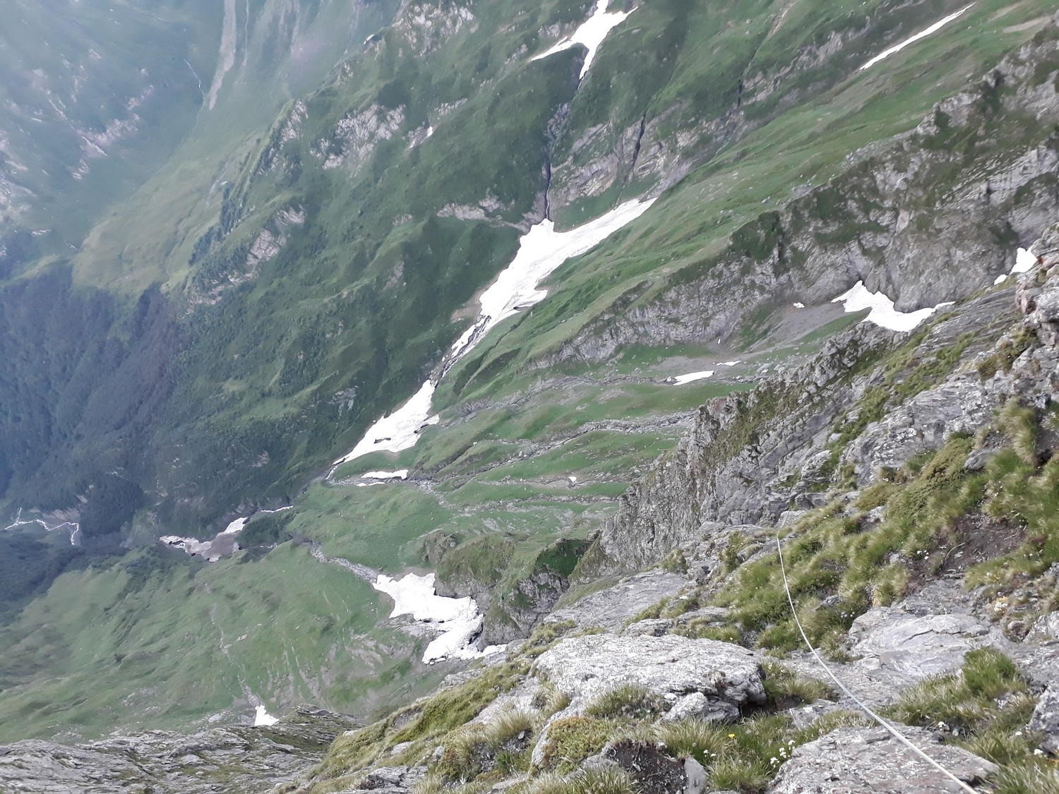 Dans le haut de la face