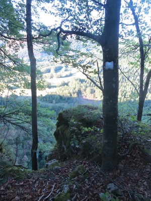 L'arbre final avec la plaque indiquant la présence de la voie.