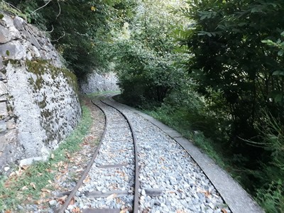 Tracciolino Tracciolino