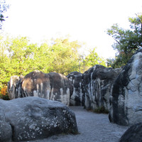 Au Cuvier