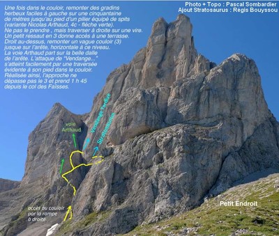 Accès à Vendange tardive et Stratosaurus