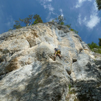 Piesche dans la luxure