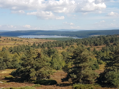 Le magnifique , Lac de Charpal au loin .