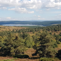 Le magnifique , Lac de Charpal au loin .