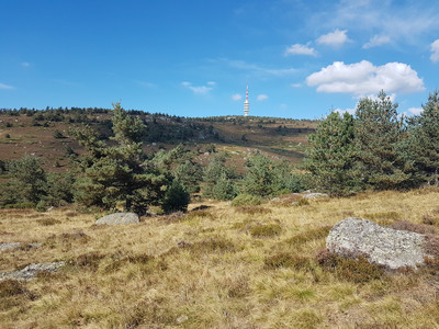 Sommet du massif de la Margeride : le Truc de Fortunio