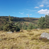 Sommet du massif de la Margeride : le Truc de Fortunio
