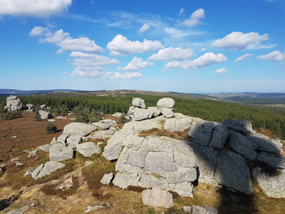 Le Signal de Randon depuis le sommet du Truc de Fortunio Le Signal de Randon depuis le sommet du Truc de Fortunio