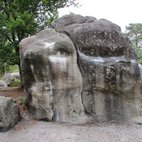 Fissure Morin