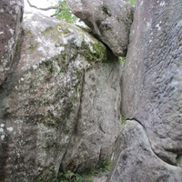 La fissure de la lionne
