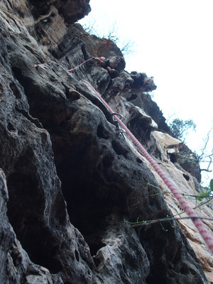 6c 6c