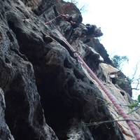 6c