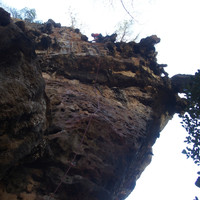 7a